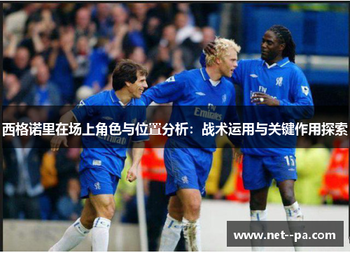 西格诺里在场上角色与位置分析：战术运用与关键作用探索