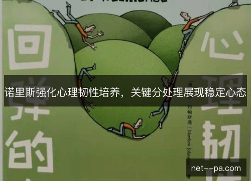 诺里斯强化心理韧性培养，关键分处理展现稳定心态