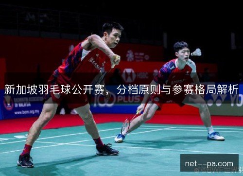 新加坡羽毛球公开赛,分档原则与参赛格局解析 新加坡羽毛球公开赛,分档原则与参赛格局解析